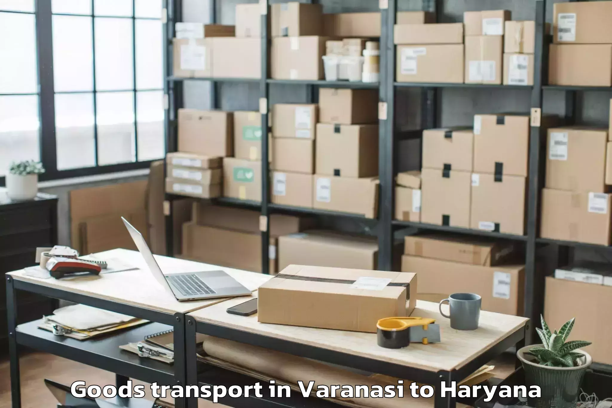 Hassle-Free Varanasi to Manav Rachna International Ins Goods Transport